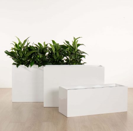 citygreen-indoorplants-troughplanters