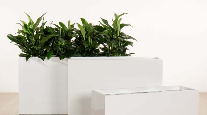 citygreen-indoorplants-troughplanters